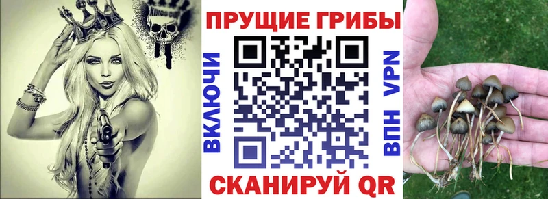 где купить наркотик  Новая Ляля  Галлюциногенные грибы GOLDEN TEACHER 